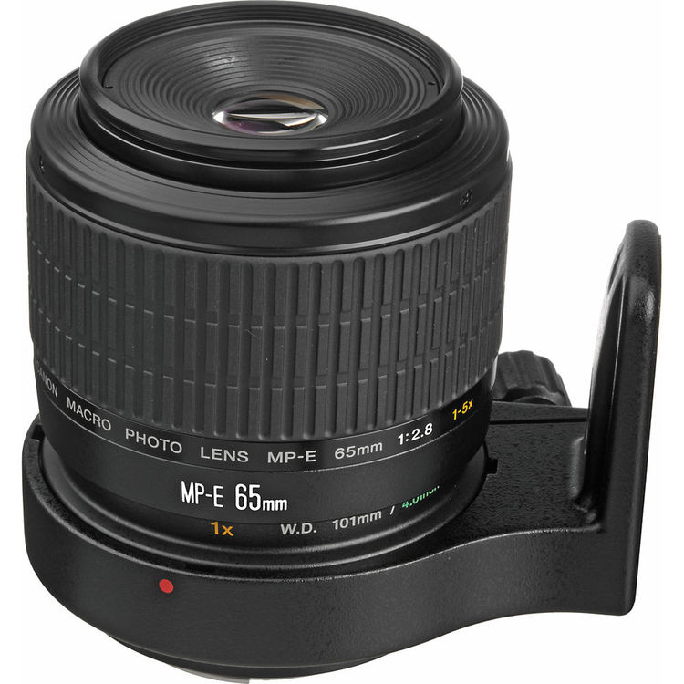Canon MP-E65mm f/2.8 1-5 x Macro - 2 Year Warranty - Next Day Delivery