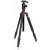 Beginner Wildlife Photography Nikon Z50 Mirrorless Camera Kit - 2 Year Warranty - Next Day Delivery