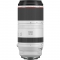 Canon RF 100-500mm f/4.5-7.1L IS USM Lens - view 3