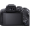 Canon EOS R10 Mirrorless Camera Body with EF-EOS R mount adapter - view 2