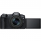 Canon EOS R8 Mirrorless Camera with RF 24-50mm f/4.5-6.3 IS STM Lens with EF-EOS R mount adapter - view 7