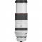Canon RF 100-500mm f/4.5-7.1L IS USM Lens - view 2