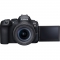 Canon EOS R6 Mark II Mirrorless Camera with RF 24-105mm f/4-7.1 IS STM Lens with EF-EOS R mount adapter - view 9