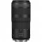 Beginner Wildlife Photography Canon EOS R10 Mirrorless Camera Kit - view 3