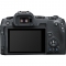Canon EOS R8 Mirrorless Camera Body with EF-EOS R mount adapter - view 2