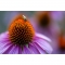 Tamron 90mm f2.8 Di III Macro VXD Lens compatible with Nikon Z (F072) - view 7