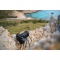 Tamron 17-28mm f/2.8 Di III RXD Lens compatible with Sony E (A046) - view 10